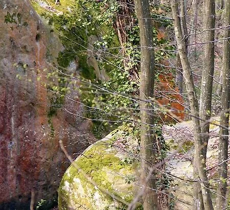 Апартаменты Sweet