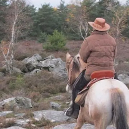 Апартаменты Sweet