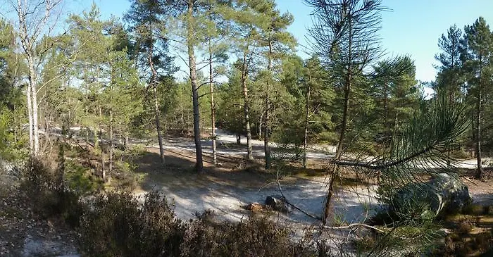 Fontainebleau Sweet Home * Fontainebleau