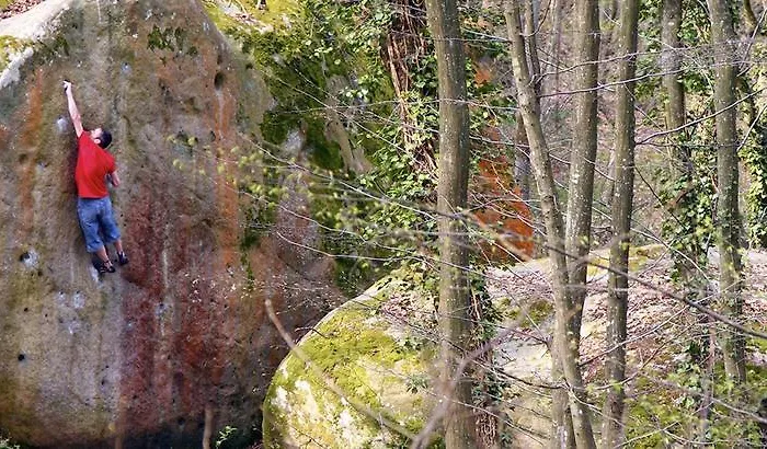 Apartment Fontainebleau Sweet Home