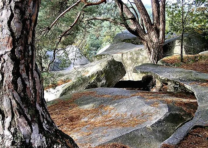 Apartment Fontainebleau Sweet Home *